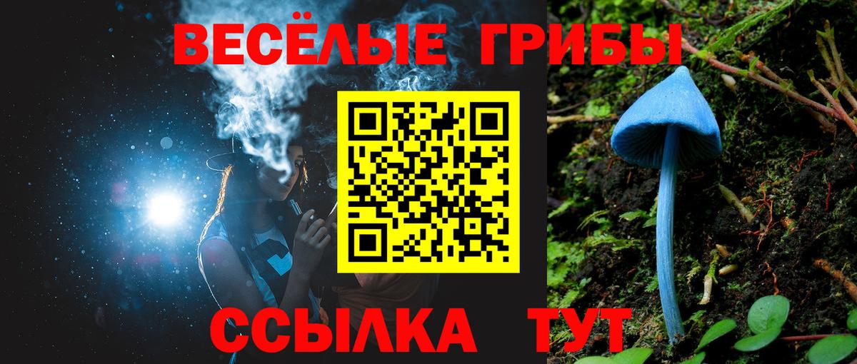 Галлюциногенные грибы Magic Shrooms Зеленогорск