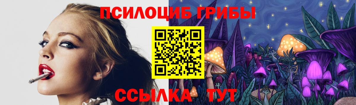 Псилоцибиновые грибы Psilocybine cubensis  Вход с VPN  наркота  Зеленогорск  Псилоцибиновые грибы мухоморы 